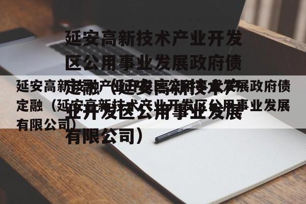 延安高新技术产业开发区公用事业发展政府债定融（延安高新技术产业开发区公用事业发展有限公司）