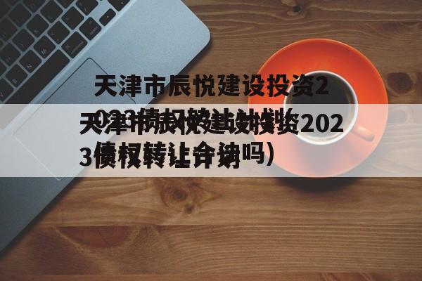 天津市辰悦建设投资2023债权转让计划(债权转让合法吗)