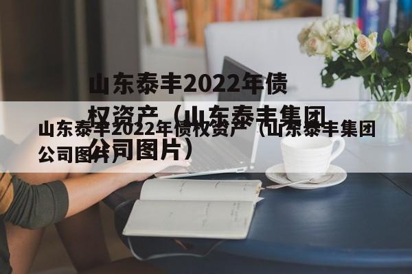 山东泰丰2022年债权资产（山东泰丰集团公司图片）