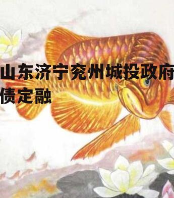 山东济宁兖州城投政府债定融