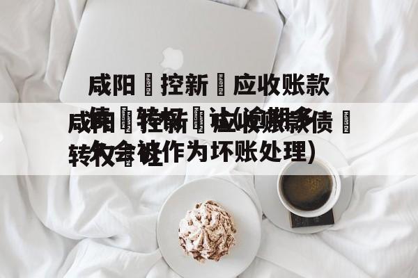 咸阳‮控新‬应收账款债‮转权‬让(逾期多久会被作为坏账处理)