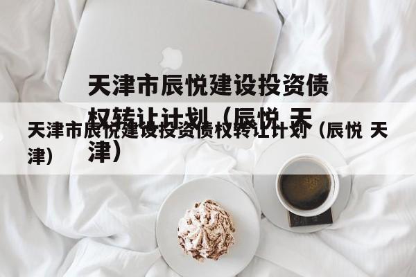 天津市辰悦建设投资债权转让计划（辰悦 天津）