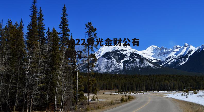 2022寿光金财公有债权