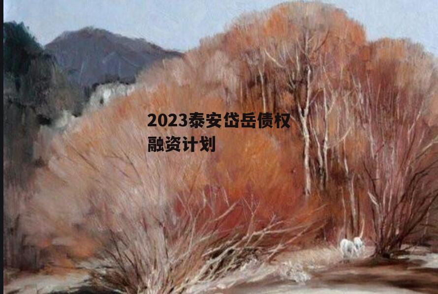 2023泰安岱岳债权融资计划