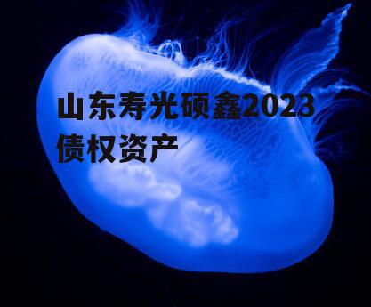 山东寿光硕鑫2023债权资产