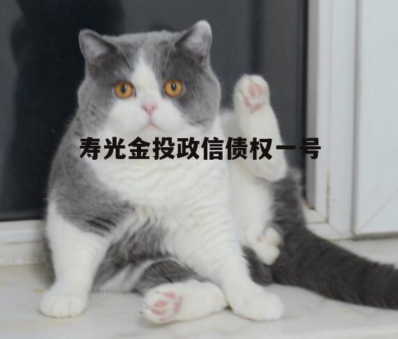 寿光金投政信债权一号