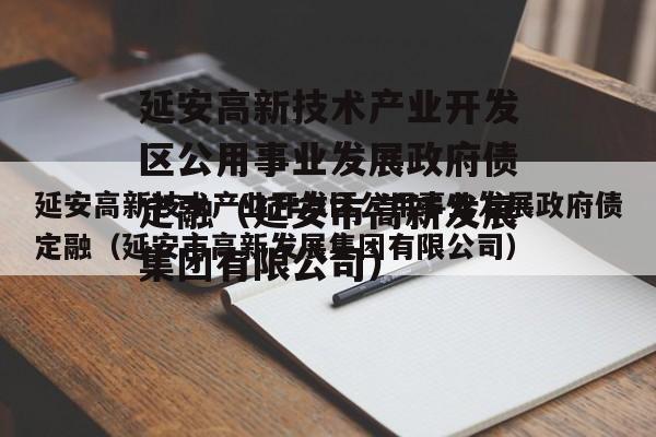 延安高新技术产业开发区公用事业发展政府债定融（延安市高新发展集团有限公司）