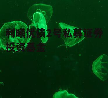 利曦优债2号私募证券投资基金