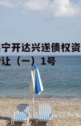 遂宁开达兴遂债权资产转让（一）1号