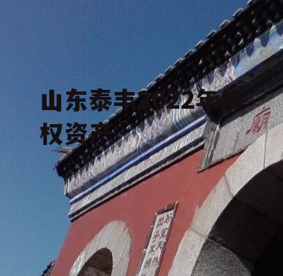 山东泰丰2022年债权资产