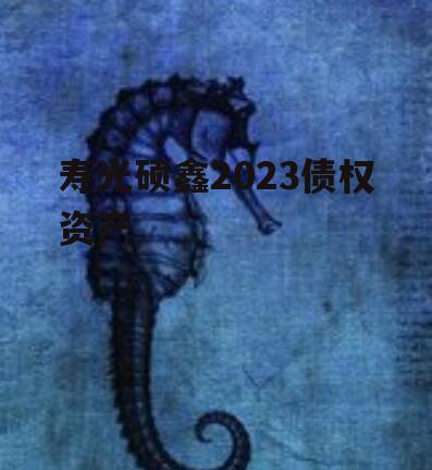 寿光硕鑫2023债权资产