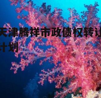 天津腾祥市政债权转让计划