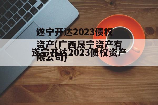 遂宁开达2023债权资产(广西晟宁资产有限公司)