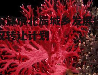 天津市北辰城乡发展债权转让计划