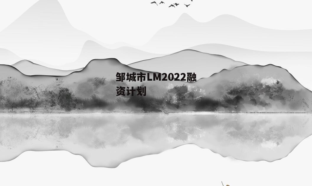 邹城市LM2022融资计划