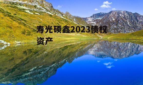 寿光硕鑫2023债权资产