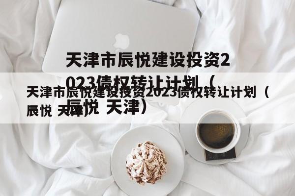 天津市辰悦建设投资2023债权转让计划（辰悦 天津）