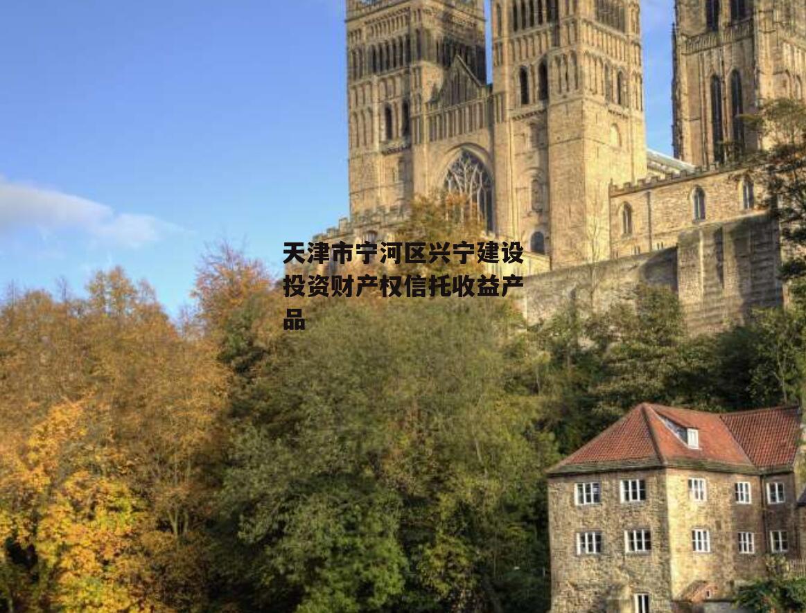 天津市宁河区兴宁建设投资财产权信托收益产品