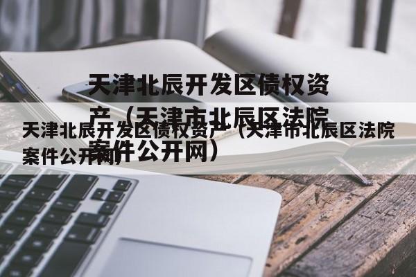 天津北辰开发区债权资产（天津市北辰区法院案件公开网）