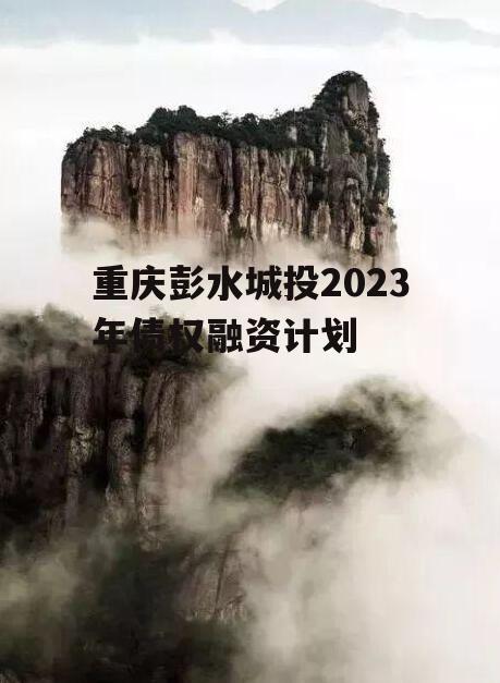 重庆彭水城投2023年债权融资计划