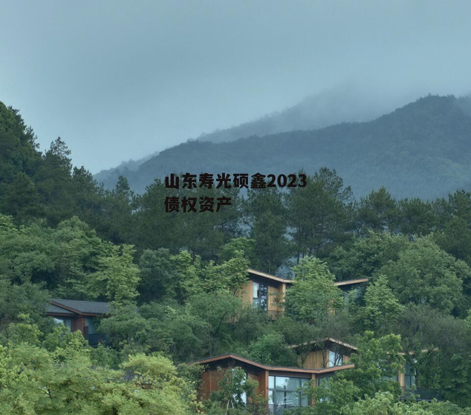 山东寿光硕鑫2023债权资产