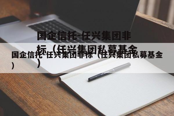 国企信托-任兴集团非标（任兴集团私募基金）