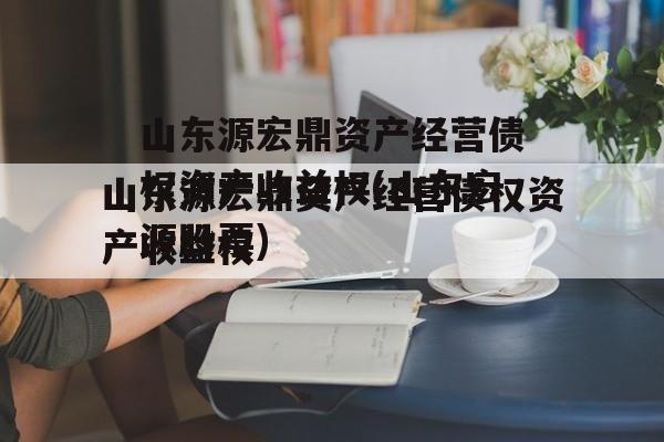 山东源宏鼎资产经营债权资产收益权(山东宏源股票)