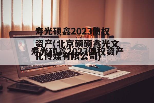 寿光硕鑫2023债权资产(北京硕硕鑫光文化传媒有限公司)