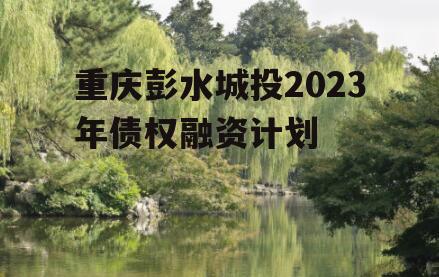 重庆彭水城投2023年债权融资计划