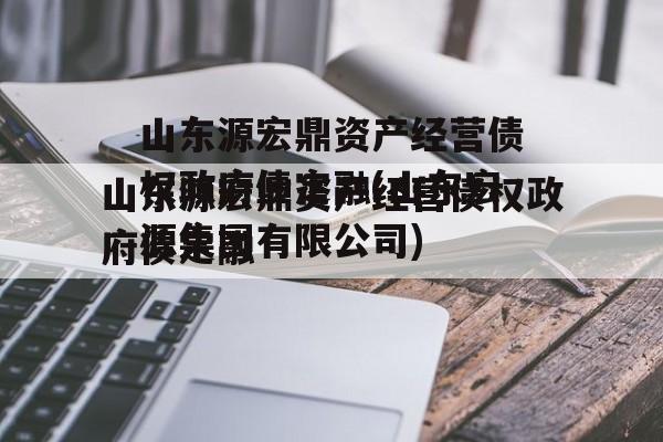 山东源宏鼎资产经营债权政府债定融(山东宏源集团有限公司)