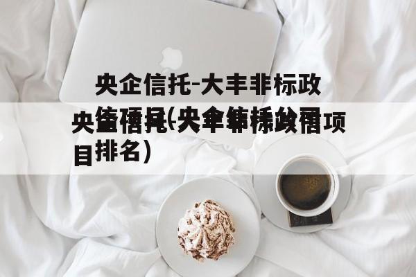 央企信托-大丰非标政信项目(央企信托公司排名)
