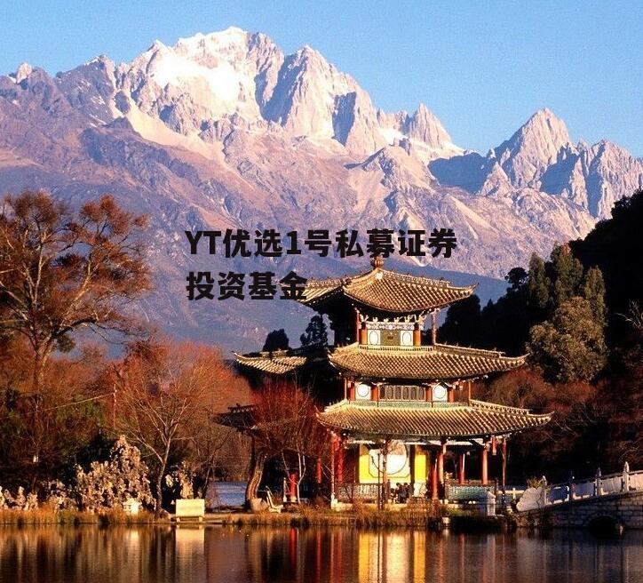 YT优选1号私募证券投资基金