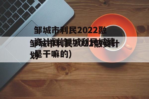 邹城市利民2022融资计划(邹城利民城建是干嘛的)