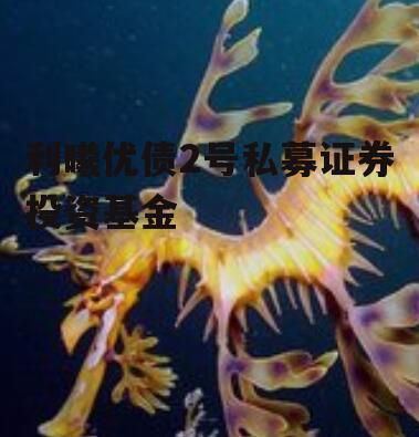 利曦优债2号私募证券投资基金