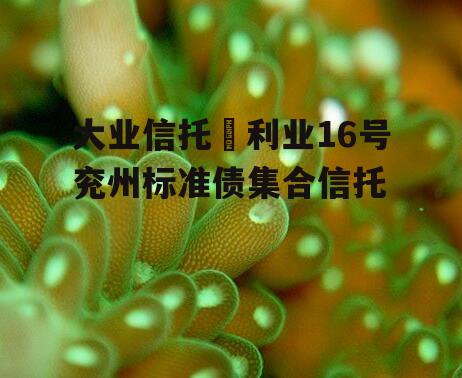 大业信托–利业16号兖州标准债集合信托