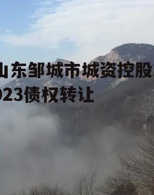 山东邹城市城资控股2023债权转让