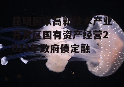 昆明国家高新技术产业开发区国有资产经营2023年政府债定融