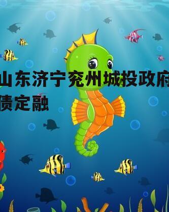山东济宁兖州城投政府债定融