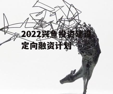2022兴鱼投资建设定向融资计划