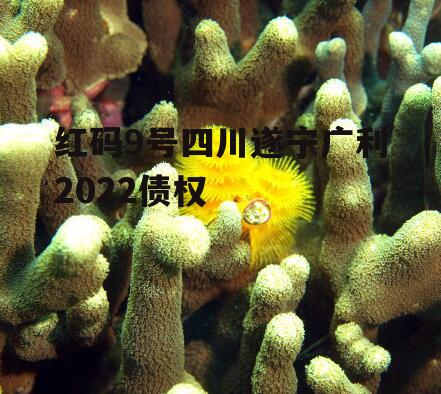 红码9号四川遂宁广利2022债权