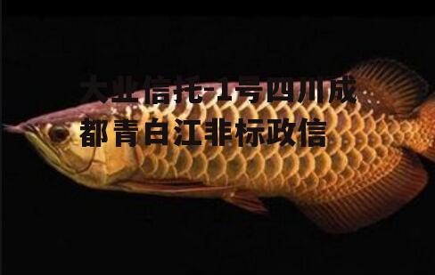 大业信托-1号四川成都青白江非标政信