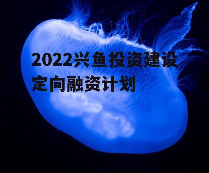 2022兴鱼投资建设定向融资计划