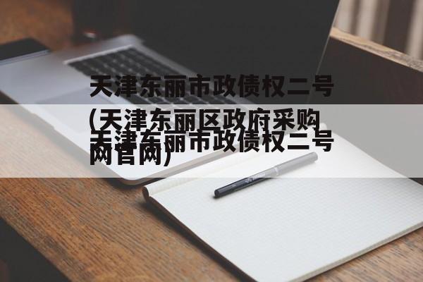 天津东丽市政债权二号(天津东丽区政府采购网官网)