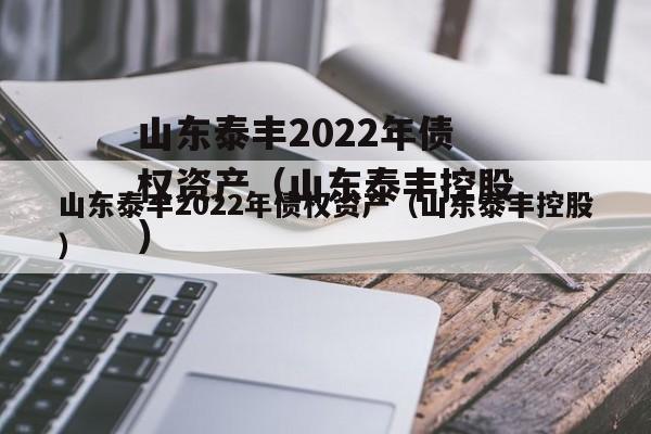 山东泰丰2022年债权资产（山东泰丰控股）