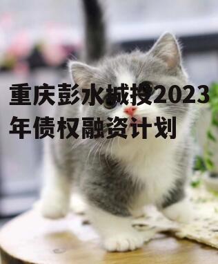重庆彭水城投2023年债权融资计划