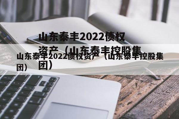 山东泰丰2022债权资产（山东泰丰控股集团）