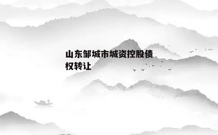 山东邹城市城资控股债权转让