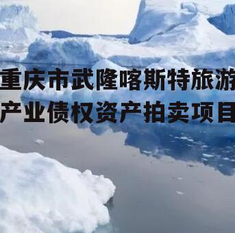 重庆市武隆喀斯特旅游产业债权资产拍卖项目