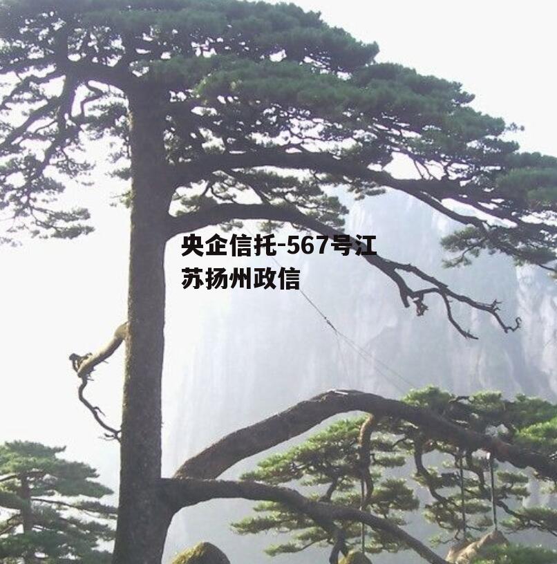 央企信托-567号江苏扬州政信