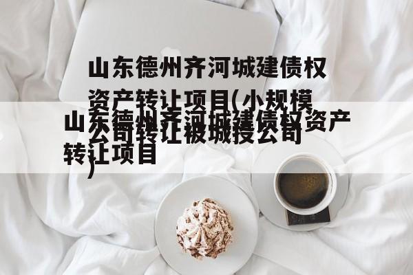 山东德州齐河城建债权资产转让项目(小规模公司转让被骗)